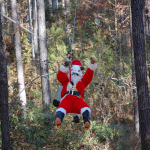 Charleston-Adventure-Forest-07