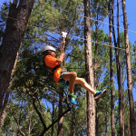 Charleston-Adventure-Forest-14