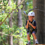 Charleston-Adventure-Forest-15